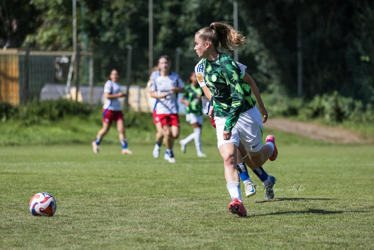 Bild 355 - wBJ Hamburger SV - VfL Wolfsburg : Ergebnis: 5:1